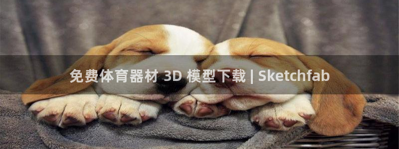 永韬星娱乐：免费体育器材 3D 模型下载 | Ske