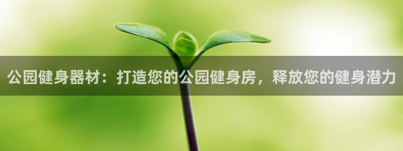 星欧娱乐和嫲薇他的区别是什么：公园健身器材：打造您的